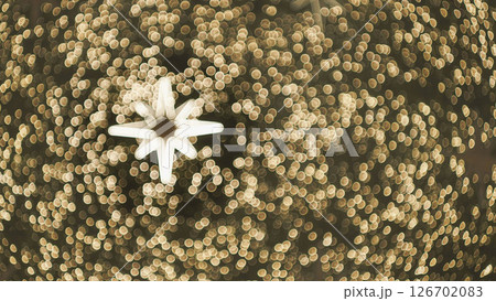 Soft bokeh lights with a glowing eight-pointed star decoration in the center. Perfect for Christmas, New Year, or festive-themed backgrounds and overlays. Soft bokeh lights with a glowing eight-pointed star decoration in the center. Perfect for Christmas, New Year, or festive-themed backgrounds and overlays. 126702083