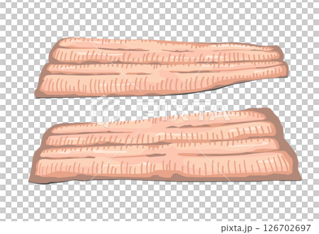 Eel illustration 126702697