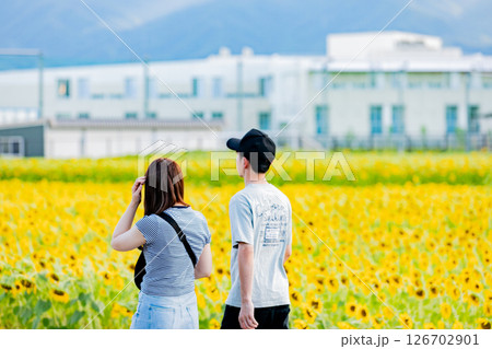 <安曇野>新村ひまわり畑を楽しむカップル 126702901