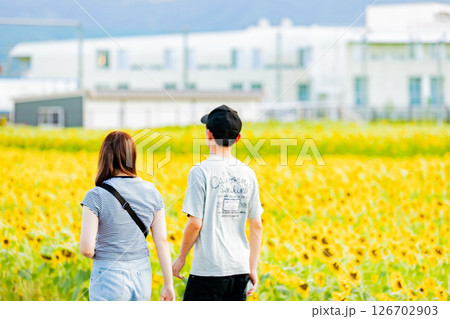 <安曇野>新村ひまわり畑を楽しむカップル <安曇野>新村ひまわり畑を楽しむカップル 126702903