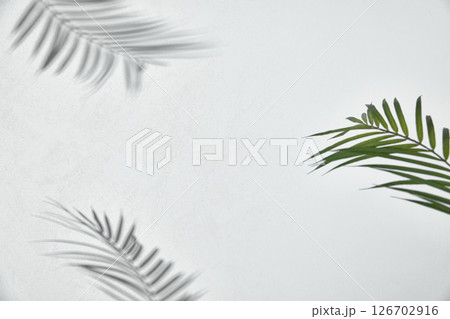 Tropical Shadow Leaves on Soft Colored Background. 126702916