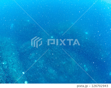 美しい謎の魚の稚魚の群れ。細くて小さくて透明。 ヒリゾ浜中木南伊豆町伊豆半島静岡県2024 美しい謎の魚の稚魚の群れ。細くて小さくて透明。 ヒリゾ浜中木南伊豆町伊豆半島静岡県2024 126702943