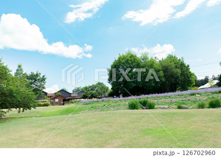 ＜長野＞安曇野ちひろ美術館 126702960