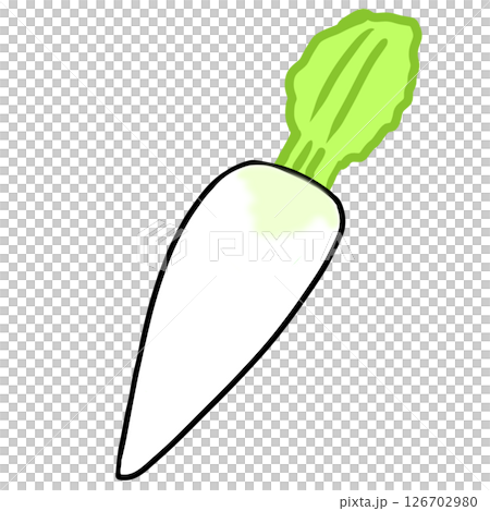 Simple radish, daikon, vegetable, food illustration Simple radish, daikon, vegetable, food illustration 126702980