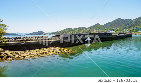 広島県呉市安浦漁港で防波堤として使われているコンクリート船の武智丸 126703318