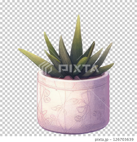 watercolor of potted plant houseplant watercolor of potted plant houseplant 126703639