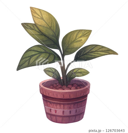 watercolor of potted plant houseplant 126703643