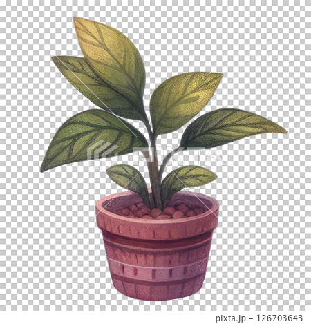 watercolor of potted plant houseplant 126703643