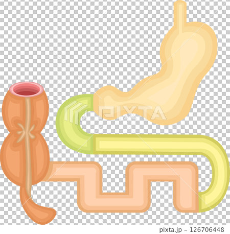 Digestive system pH illustration 126706448
