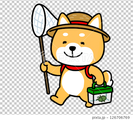 虫採りにアミとカゴを持って出かけるしばいぬ 虫採りにアミとカゴを持って出かけるしばいぬ 126706769