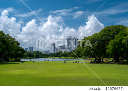 広々とした公園の芝生と青空が広がる穏やかな風景 126706774