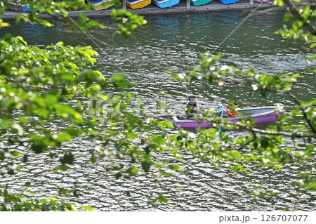 千鳥ヶ淵に浮かぶカップルが漕ぐボート 126707077