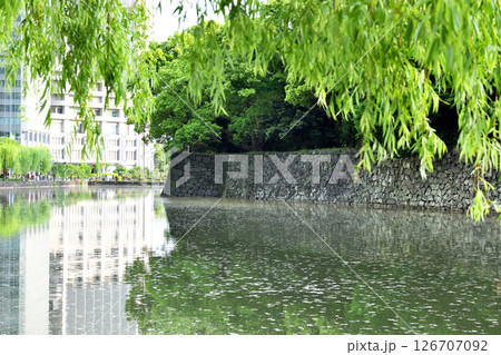 皇居の濠に映り込む大手町のビル群 皇居の濠に映り込む大手町のビル群 126707092