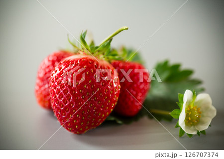 Ripe red strawberries on a gray background 126707374