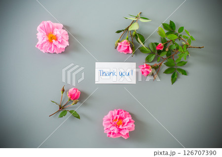 Pink petals and branches with buds with gratitude Pink petals and branches with buds with gratitude 126707390
