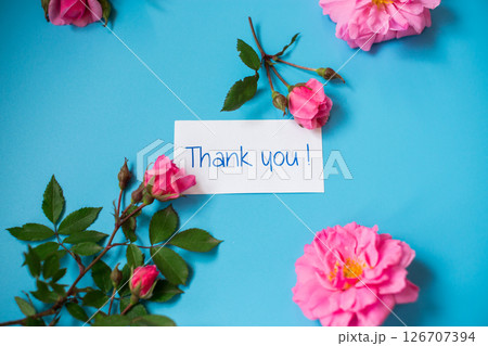 Pink petals and branches with buds with gratitude Pink petals and branches with buds with gratitude 126707394