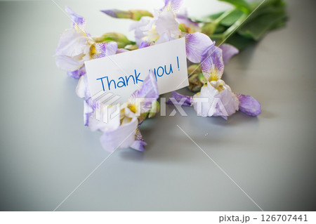 Spring irises in a minimalist composition 126707441