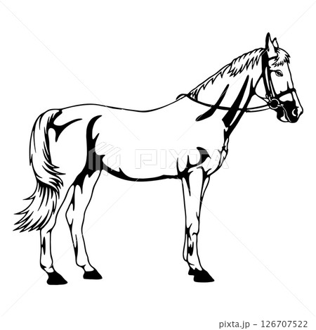 Silhouette horse icon, horse drawing, horse logo, horse vector Silhouette horse icon, horse drawing, horse logo, horse vector 126707522