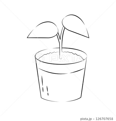 2枚葉の植木鉢のシンプル線画イラスト 2枚葉の植木鉢のシンプル線画イラスト 126707658