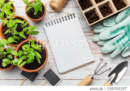 Gardening tools, seedlings and blank notebook on white wooden table Gardening tools, seedlings and blank notebook on white wooden table 126708107