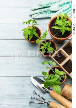 Gardening tools and seedlings on rustic wooden table promoting sustainable living Gardening tools and seedlings on rustic wooden table promoting sustainable living 126708108