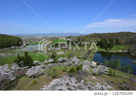 ソメイヨシノの北限 展望台からの春の風景 126708160
