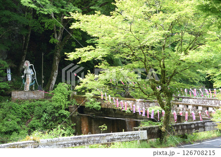 慈恩の滝 慈恩の滝 126708215