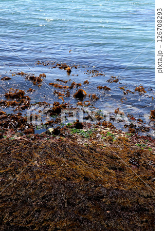 福岡県福津市　福間漁港海浜公園 126708293