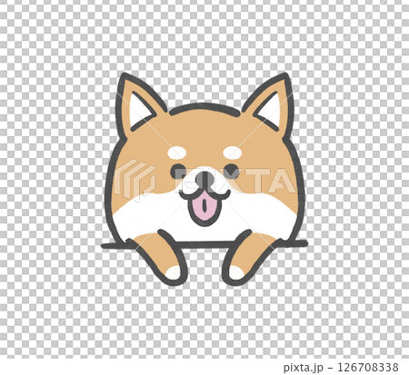 A Shiba Inu popping out 126708338