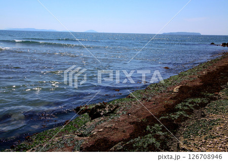 福岡県福津市 福間漁港海浜公園 福岡県福津市 福間漁港海浜公園 126708946