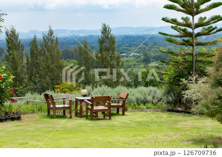 Garden, Yard - Grounds, Patio, Back Yard, Outdoors 126709736