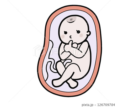 母親の胎内にいる赤ちゃんのイラスト（指しゃぶり） 126709784
