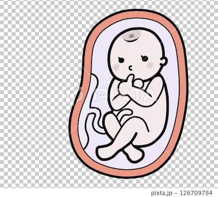 母親の胎内にいる赤ちゃんのイラスト（指しゃぶり） 126709784