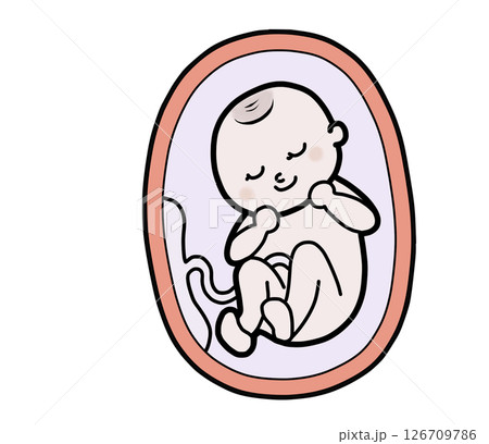 母親の胎内にいる赤ちゃんのイラスト（おやすみ） 126709786