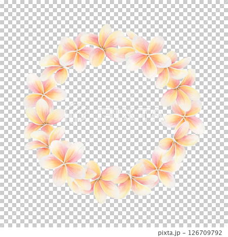 Pastel Plumeria flower round wreath. Hand drawn sticker watercolor illustration isolated on white. Frangipani botanical clip art in pink and yellow colors for fragrant label templates with copy space 126709792