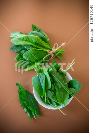 Green sorrel leaves for healthy eating 126710140