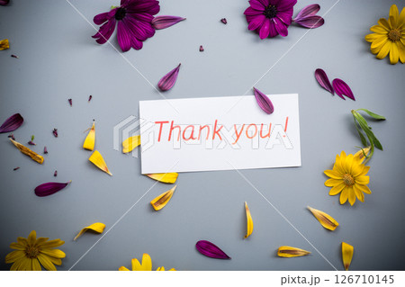 Yellow and purple flowers arrangement with petals on gray background Yellow and purple flowers arrangement with petals on gray background 126710145