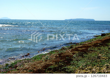 福岡県福津市　福間漁港海浜公園 126710483
