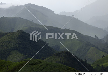Landscape of Morning Mist with Mountain Layer. mountain ridge and clouds in rural jungle bush forest 126711045
