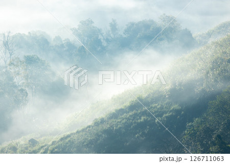 Landscape of Morning Mist with Mountain Layer. mountain ridge and clouds in rural jungle bush forest Landscape of Morning Mist with Mountain Layer. mountain ridge and clouds in rural jungle bush forest 126711063
