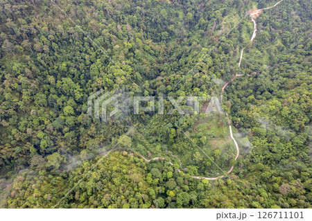 Landscape of Morning Mist with Mountain Layer. mountain ridge and clouds in rural jungle bush forest 126711101