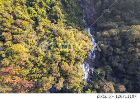 Scenic topdown shot of a deciduous forest changing leaves at the height of autumn. Picturesque flying view of the vibrant 126711107