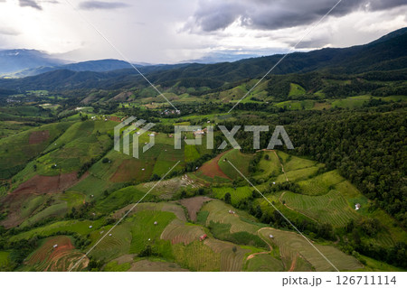 Rice Field of Farmer and sun in the morning,in Thailand 126711114