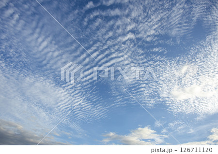 colorful dramatic sky with cloud at sunset colorful dramatic sky with cloud at sunset 126711120