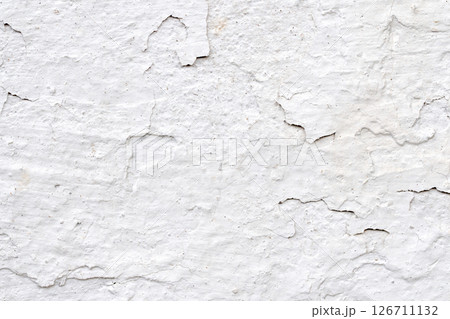 Light Gray Stucco Wall Texture. Abstract Background 126711132