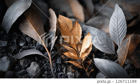 Macro shot of leaves and organic matter decomposing. Recycling of waste, zero waste production, preservation of the ecology of the Earth 126711199