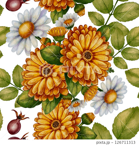 Seamless pattern with calendula, chamomile and rosehip 126711313