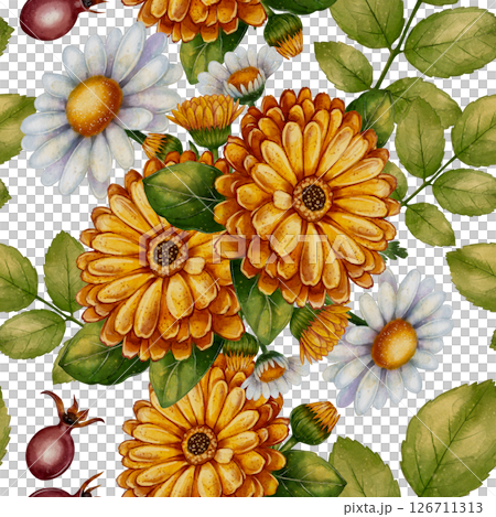 Seamless pattern with calendula, chamomile and rosehip 126711313