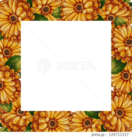 Calendula flower frame with green leaves watercolor illustration 126711317
