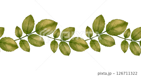 Watercolor border with green leaves 126711322